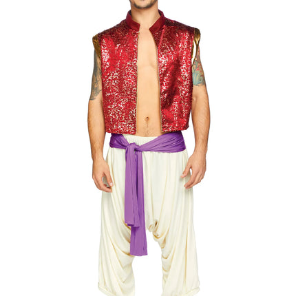 Costume d'Aladdin Avenue des jambes pour hommes