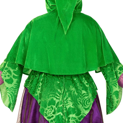 Robe de sorcière Purple Green Ladies Leg Avenue