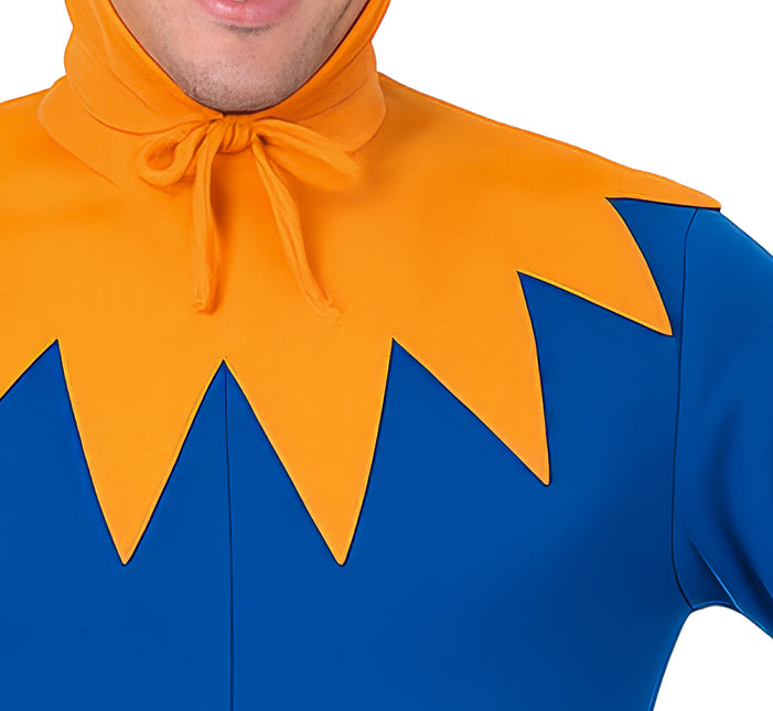 Costume de coq homme