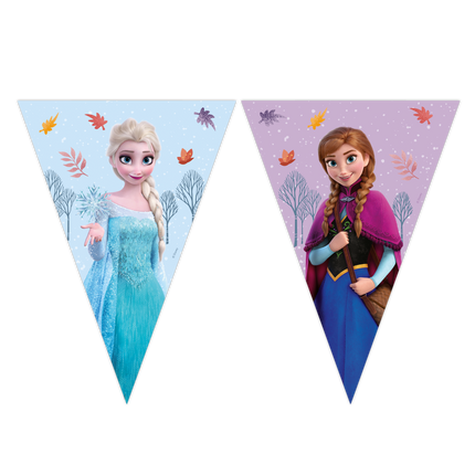 Guirlande en papier Frozen Idyllic Wonder