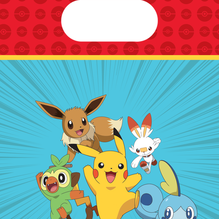 Sacs de partage Pokemon 22cm 4pcs