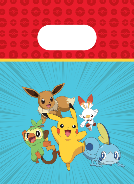 Sacs de partage Pokemon 22cm 4pcs