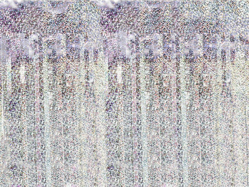 Rideau de porte holographique 2m