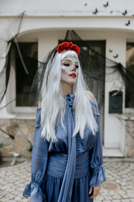 Perruque argentée cheveux longs