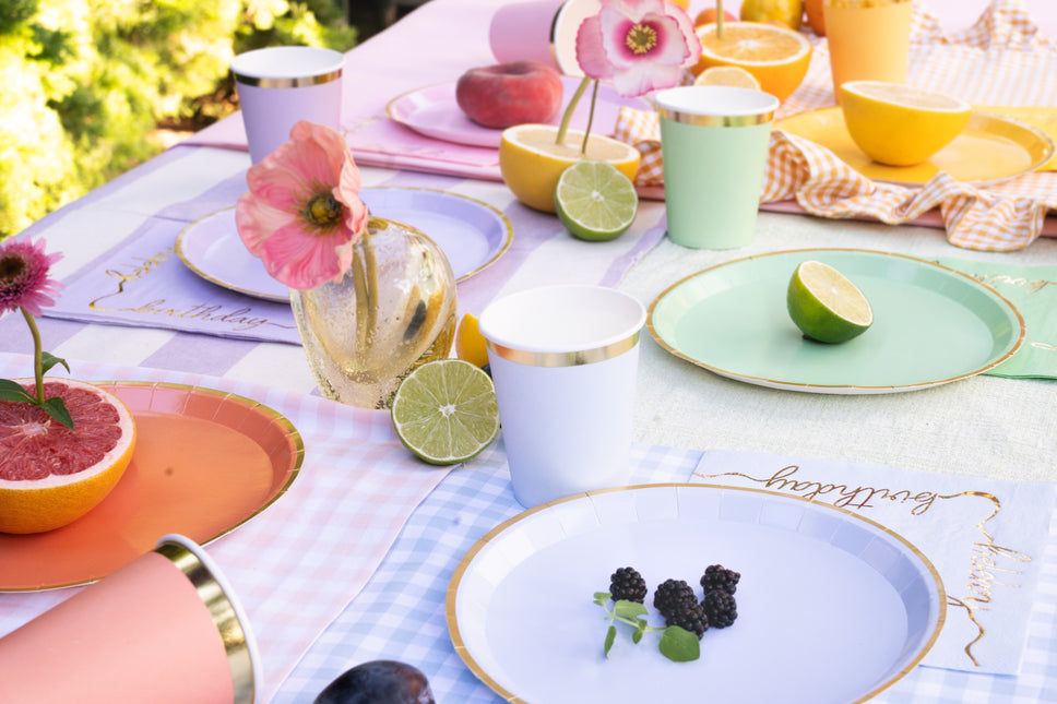 Assiettes colorées 21cm 6pcs