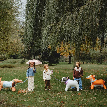 Ballon debout Corgi, 88x70 cm, mélange
