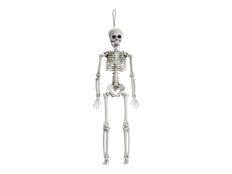 Halloween Squelette Blanc 40cm