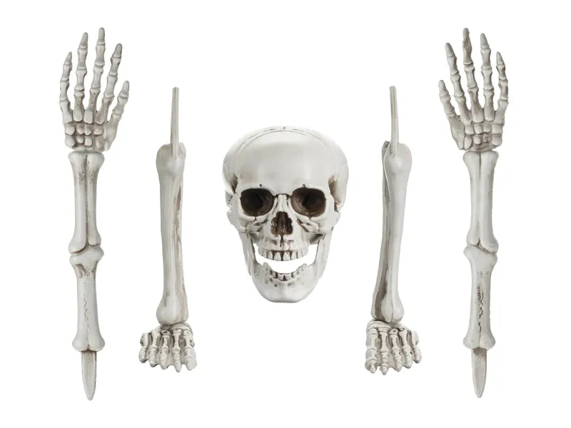 Halloween Squelette 5 pièces