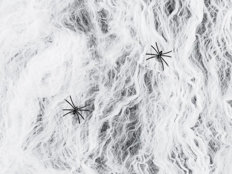 Toile d'araignée d'Halloween blanche avec 2 araignées noires 200gr