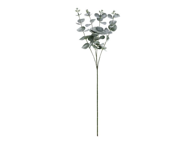 Bladeren Droogbloemen Eucalyptus 60cm van Partydeco koop je bij Partywinkel