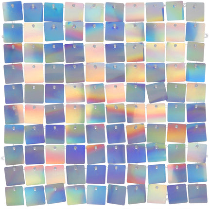 Rideau de porte holographique 30cm 12pcs