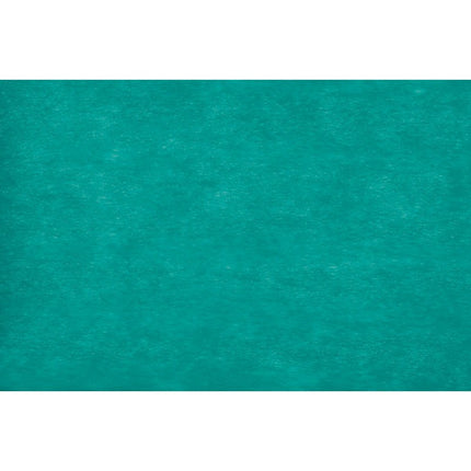 Ruban Carribean Elegance 10CM X 20M