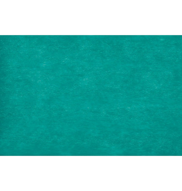 Ruban Carribean Elegance 10CM X 20M