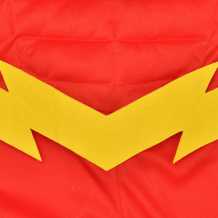 Costume de Flash