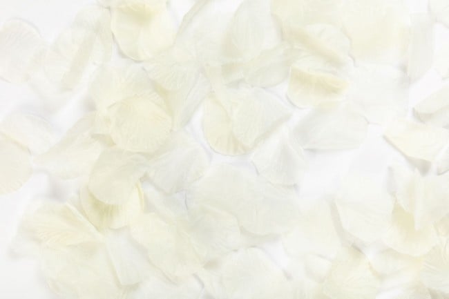 Creme Rozenblaadjes 144st van WeFiesta koop je bij Partywinkel