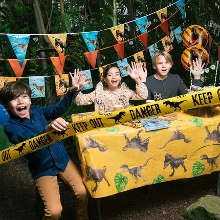 Dino Cocktailprikkers 7cm 24st van Boland koop je bij Partywinkel