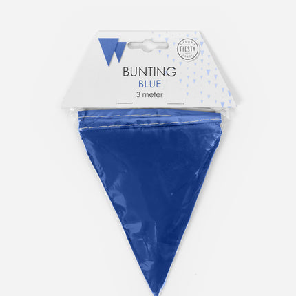 Guirlandes bleues Mini 3m