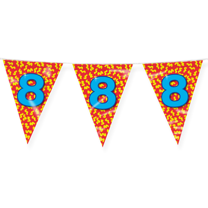 Flagline 8 ans colorée 10m