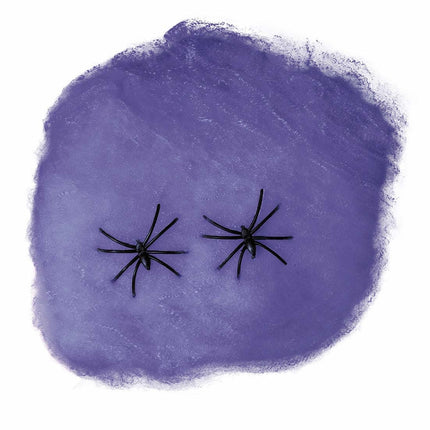 Toile d'araignée violette 60g
