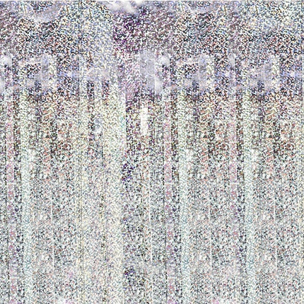 Rideau de porte argenté holographique 2.5m