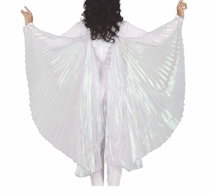 Ailes Holographiques 1.9m