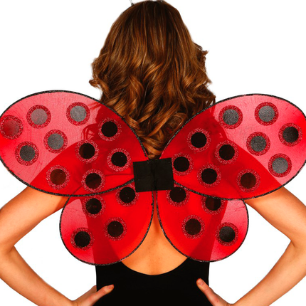 Ailes de coccinelle 52cm