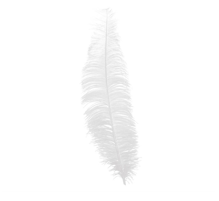Plumes d'autruche blanches 40cm 12pcs