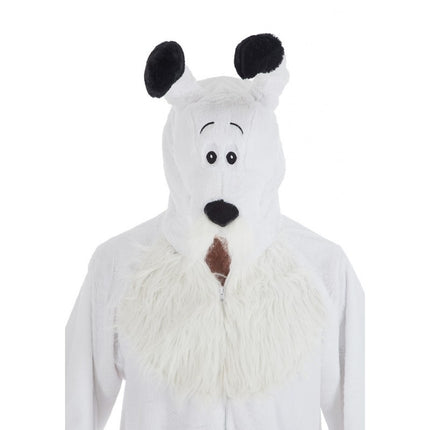 Costume Idefix Astérix