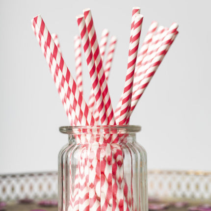 Pailles en papier rayées fuchsia 19.7cm 20pcs