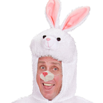 Faux nez de lapin