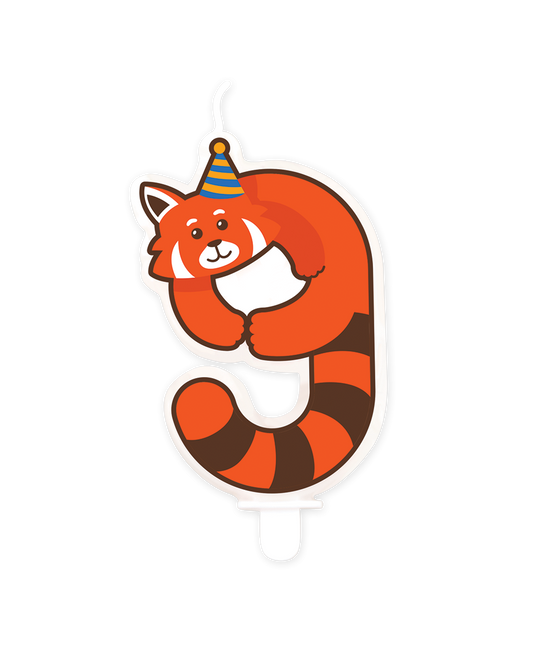 Bougie 9 ans Raccoon