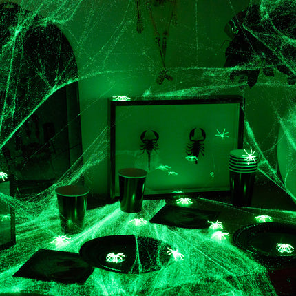 Toile d'araignée d'Halloween phosphorescente