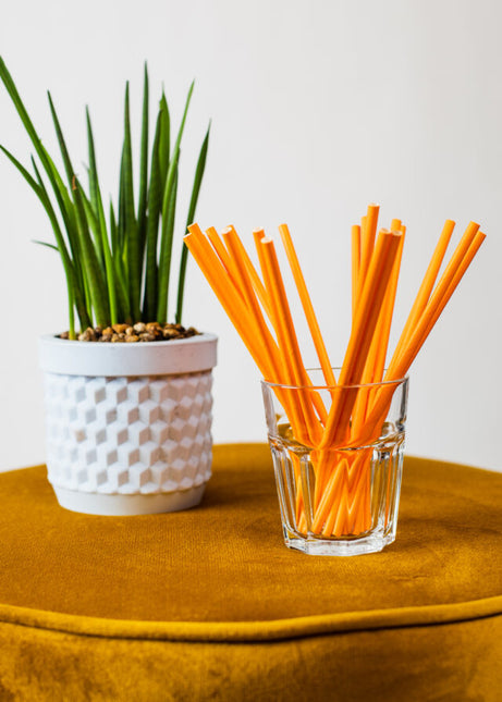 Pailles orange en carton 20pcs