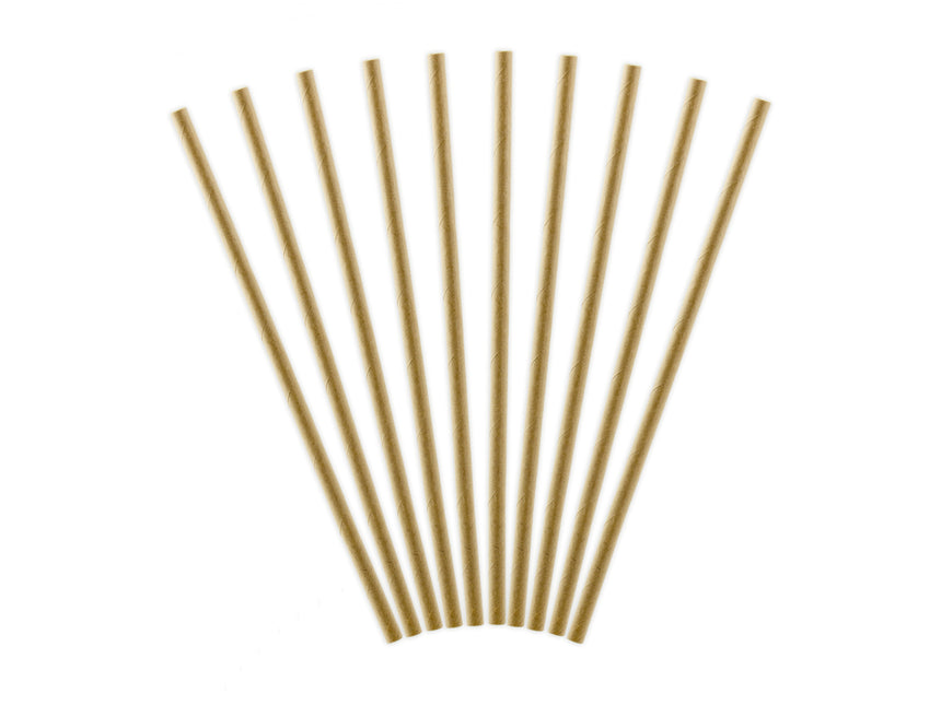 Pailles en papier carton 19.5cm 10pcs