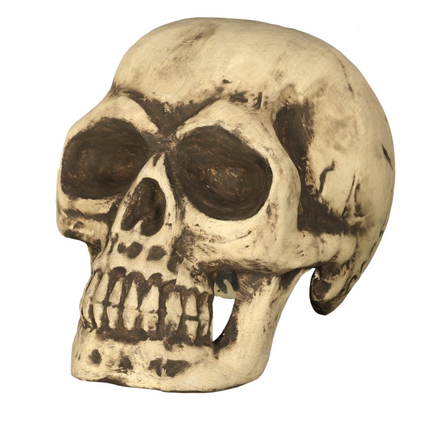 Crâne d'Halloween 32cm
