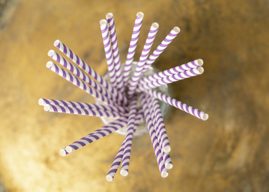 Pailles en papier rayées violettes 19.7cm 20pcs