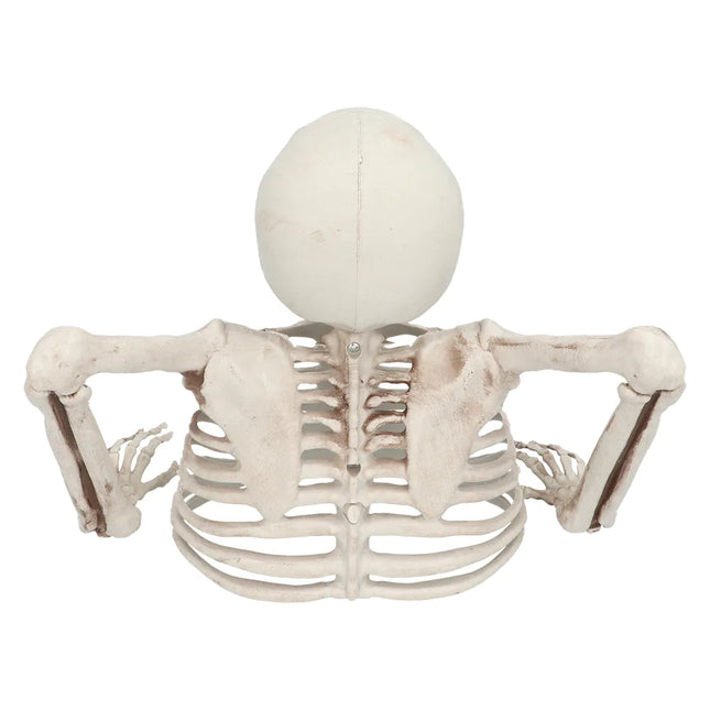 Squelette d'Halloween 20cm