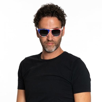 Lunettes Blues Brothers Usa