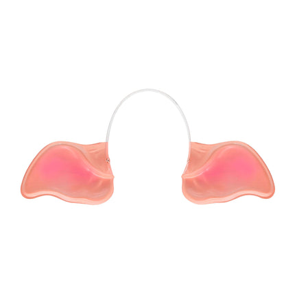 Oreilles de cochon