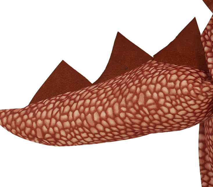 Costume de dinosaure garçon