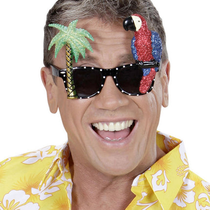 Lunettes Hawaii colorées