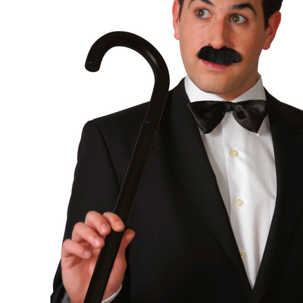 Bâton de marche pour stripteaseur 80cm