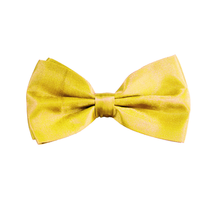 Nœud papillon jaune fluo