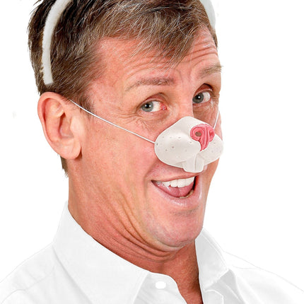 Faux nez de lapin