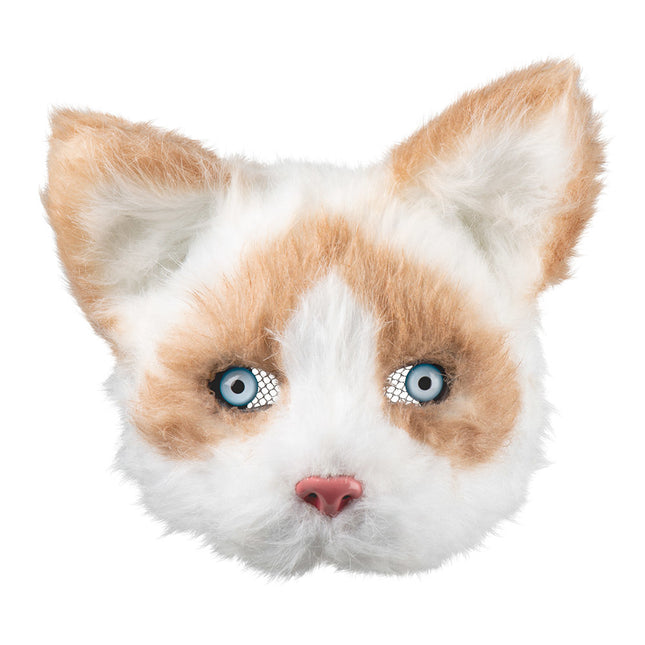 Chat à demi-masque