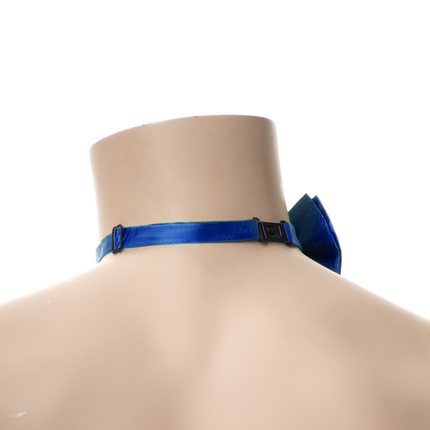Nœud papillon bleu