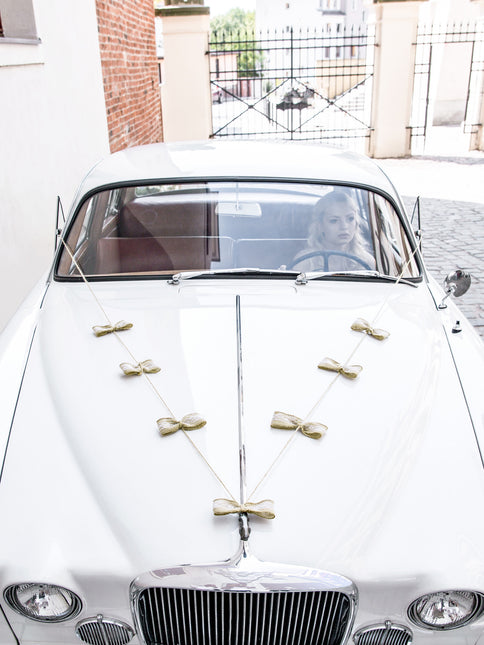 Ensemble de décoration de voiture Arcs de mariage