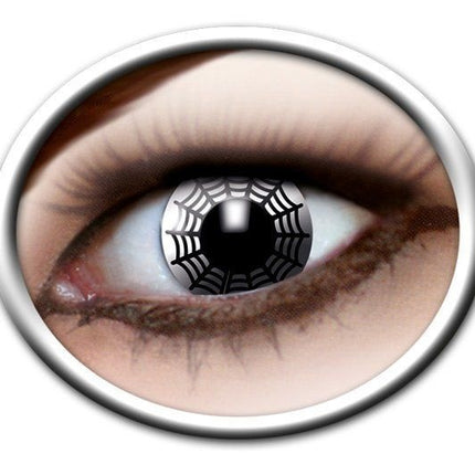 Lentilles araignées 3 mois