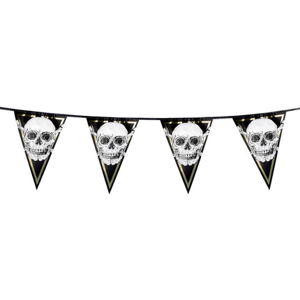Pirate Flagline Skull 6m