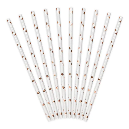 Pailles en papier rayures or rose 19.5cm 10pcs